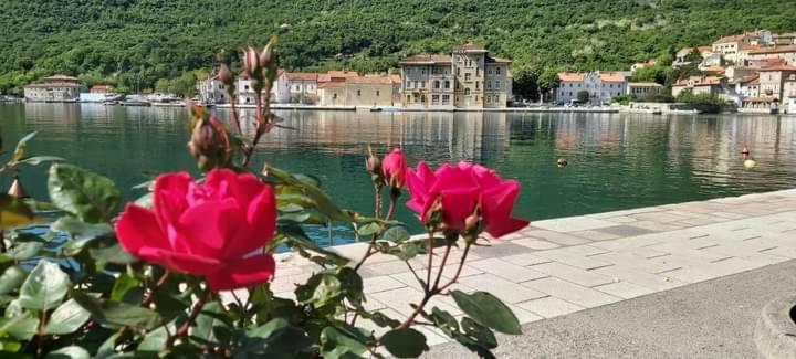 Apartmani Petar I Luka 巴卡尔 外观 照片